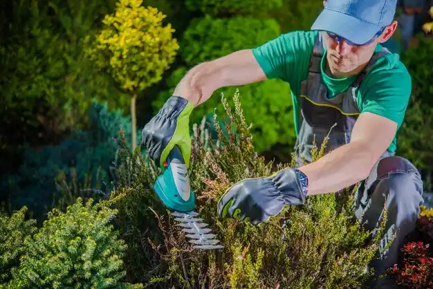 landscaping services Gobles